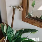 Il Borghetto Di Pedevilla Casa In Montagna Nyaraló *