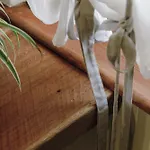Nyaraló Il Borghetto Di Pedevilla Casa In Montagna *
